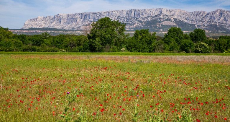 Achat / Vente programme immobilier neuf Trets à 11 minutes du cœur de ville (13530) - Réf. 8906